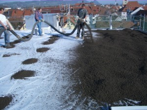 Dachbegrünung - TBS Thurner Bau GmbH